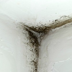 Moldy wall corner.