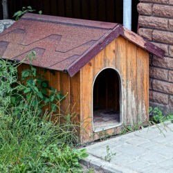Outdoor Kennel