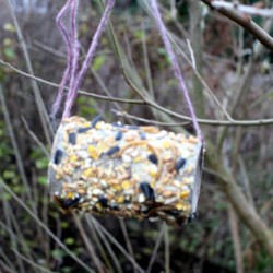 Easy Bird Feeder - hanging feeder