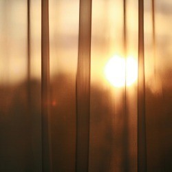 Sunlight coming through sheer curtains.