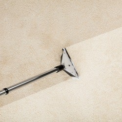 Carpet Cleaning