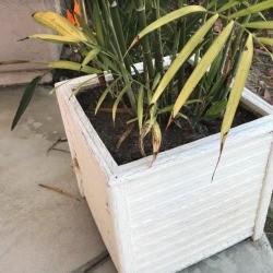 A planter placed so that packages can be hidden behind it.