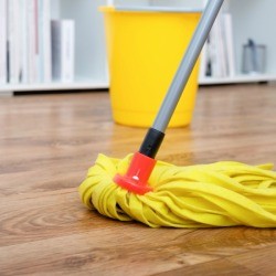 Mopping Laminate Floor