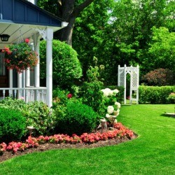 Well Designed Garden