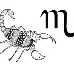 Scorpio Adult Coloring Page