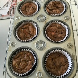 baked Chocolate Ricotta Muffins 