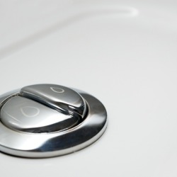 Push Button Toilet