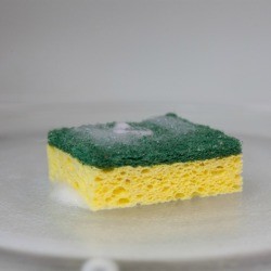 Sponge in Microwave