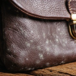 Mildew on Leather Purse