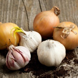 Garlic and Onion
