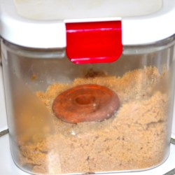 Terra Cotta Disk for Keeping Brown Sugar Soft and Fluffy