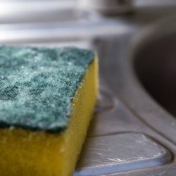 Kitchen Sponge/Scouring Pad Near a Sink