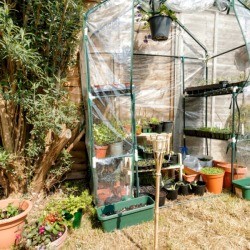 Small Greenhouse