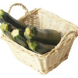 Harvested Zucchini in a Basket