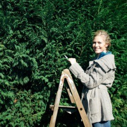 Woman on a ladder next to a shrubbery.
