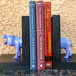 Making Plastic Animal Bookends - holding up books on a shelf