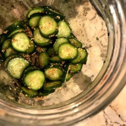 Pickled Cucumbers in bowl