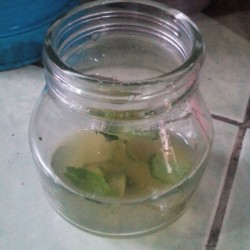 Make Your Own Essential Oil - essence poured into a jar