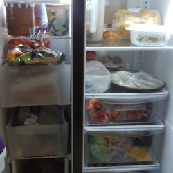 A two door fridge that is well organized.