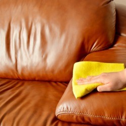 Hand wiping down a leather sofa.