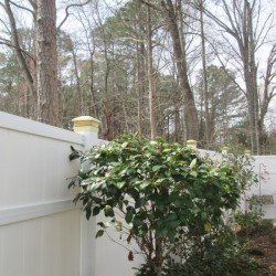 Yellowed light fixtures atop a white fence post.