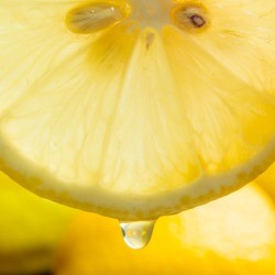 Close up of a slice of lemon, with one drop coming down.