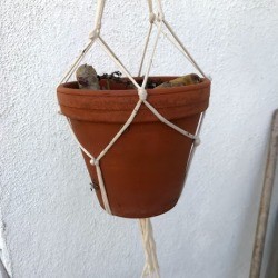 DIY Macrame Plant Hangers - pot hanging