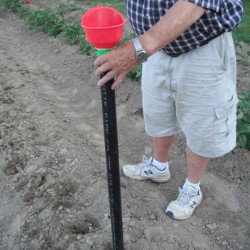 Planting Seed in the Garden - man using the planting stick in the garden