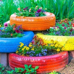 Colorful Tires used as garden beds.