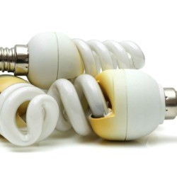 Pile of 3 burnt lightbulbs.
