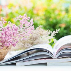 pile of books in garden.