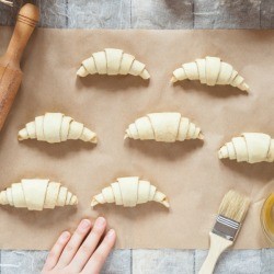 Raw croissants on parchment, preparation process.