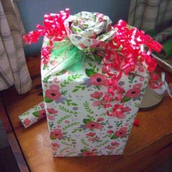 Flower Gift Wrapping - finished gift 