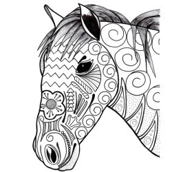 Ornamental Horse Adult Coloring Page - horse's head and neck