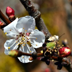Early Signs of Spring 