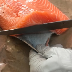 Filleting Fresh Salmon