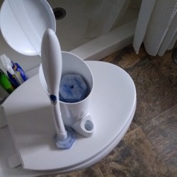 Easy Shower Floor Cleaning With Toilet Bowl Pads - handle and pad container sitting on toilet lid