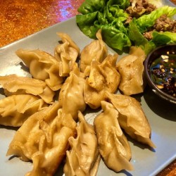  Potstickers on plate with dipping sauce