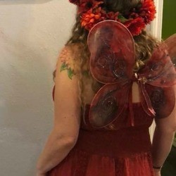 A red fairy costume with wings and a flower crown.