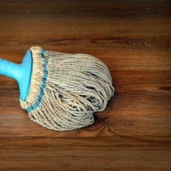 Rag mop on a wood floor.