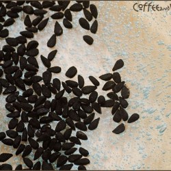 Identifying Seed-like Insect Eggs - black cumin seeds 