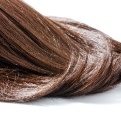 long brown hair on white background.