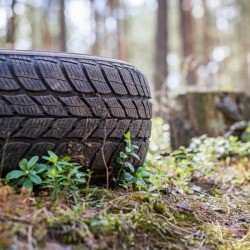 Tire on the ground outside near trees.