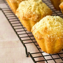 Pumpkin Apple Muffins
