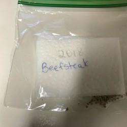 Saving Tomato Seeds