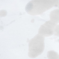 Grease stains on white.