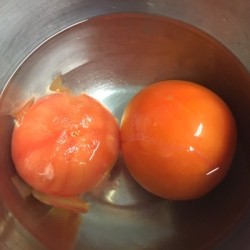 Tomato skins being removed after blanching.