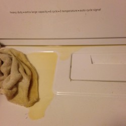 Dryer Leaking Oil on Top - oil on top of dryer
