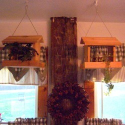 Using Bird Feeders for Houseplants 