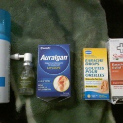  Treating a Dog's Ear Infection